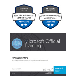 identity and access administrator + information protection administrator