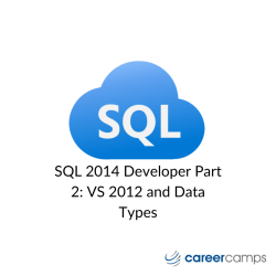 SQL 2014 Developer Part 2_ VS 2012 and Data Types