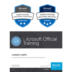 power platform functional consultant + power platform solutions architect