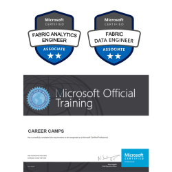 dabric analytics engineer + fabric data engineer